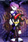 [Palcomix] Jinxed Shadow (Teen Titans- Sonic the Hedgehog)