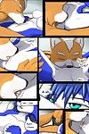 [moltsi] Estrela fox: consolo (star Fox adventures)