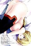 (c80) [yumeyoubi (kazumu)] Ichika zu ecchi!! Mit Sex Mit ichika!! (infinite stratos)