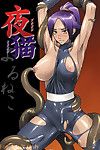 (comic Castello 2005) nagaredamaya (bang you) yoruneko (bleach) Ero otoko