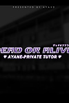 AYA3D- Ayane-Private Tutor Dead or Alive