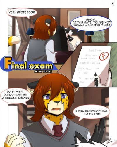 [Sollyz] Final exam