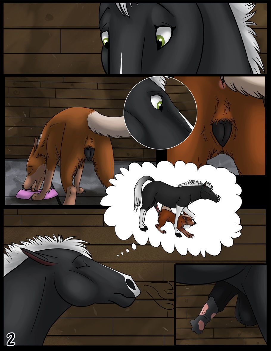 Furry Horse Porn Cartoon Sister - Feral Couples: Stallion Delights at XXXComicPorn.Com