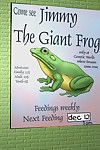 THE GIANT FROG (CARNIVORE CAFE)