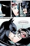 बैटमैन पूछताछ कैटवूमन